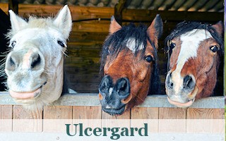 Ulcergard for equine stomach health