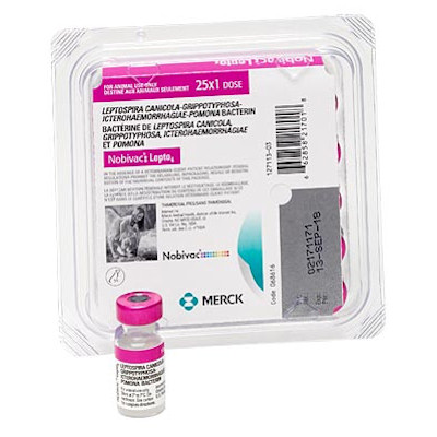 Nobivac: Lepto 4 - Merck - 25 single dose tray